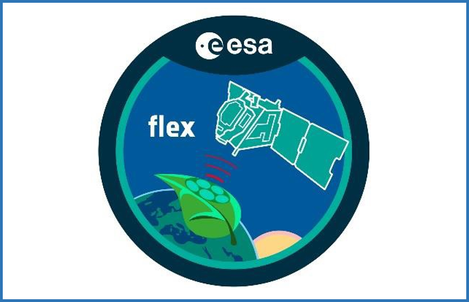Discuss how to make the best use of FLEX data!
