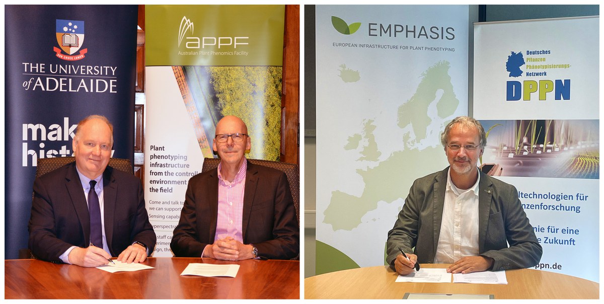 International collaboration targets global food challenges